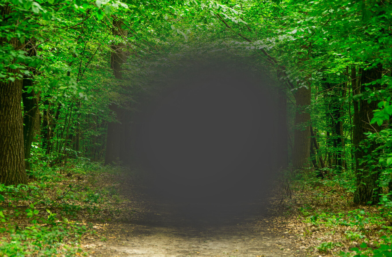 Guía informativa sobre el deterioro de la mácula | All About Vision